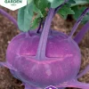 Fröer Nelson Garden Kålrabbi Blaro Violett