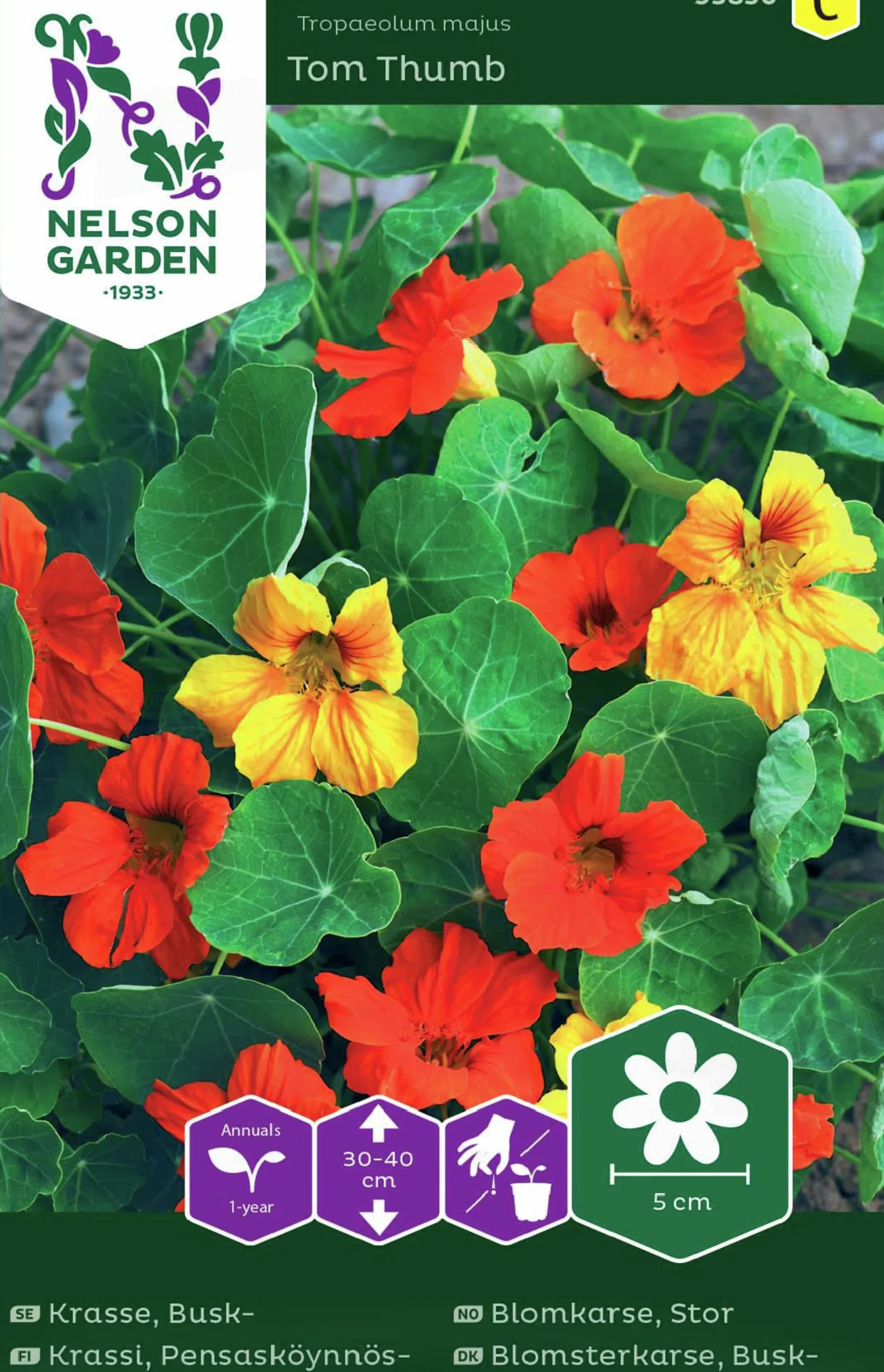 Fröer Nelson Garden Krasse Busk- Tom Thumb Blandade Färger