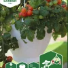 Fröer Nelson Garden Körsbärstomat Cherry Falls