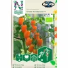 Fröer Nelson Garden Körsbärstomat Krebs Mandarina Hög