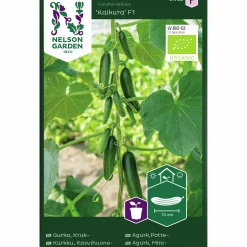Fröer Nelson Garden Krukgurka Kaikura F1 Organic
