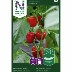 Fröer Nelson Garden Krukpaprika Kobold F1