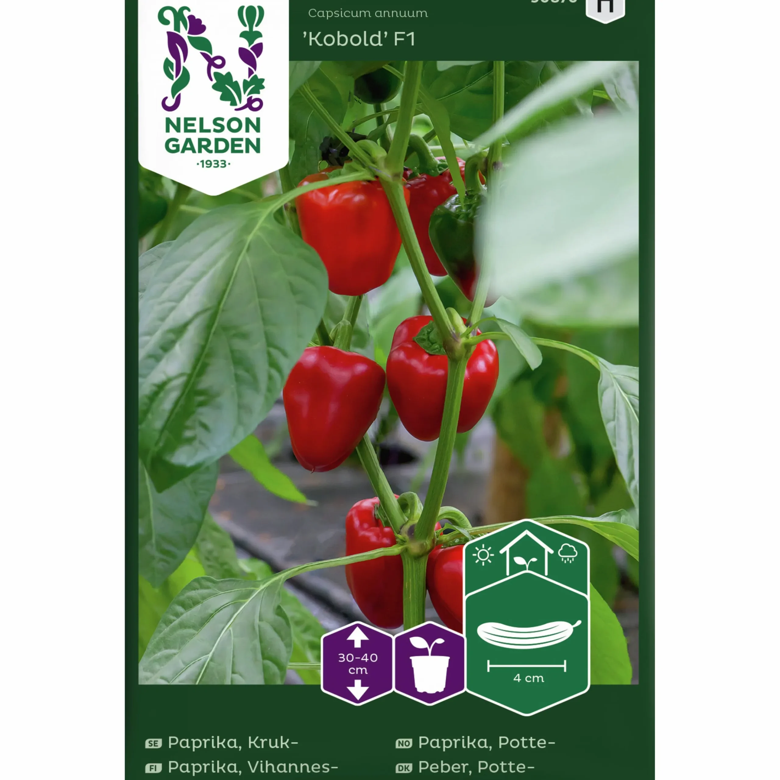 Fröer Nelson Garden Krukpaprika Kobold F1