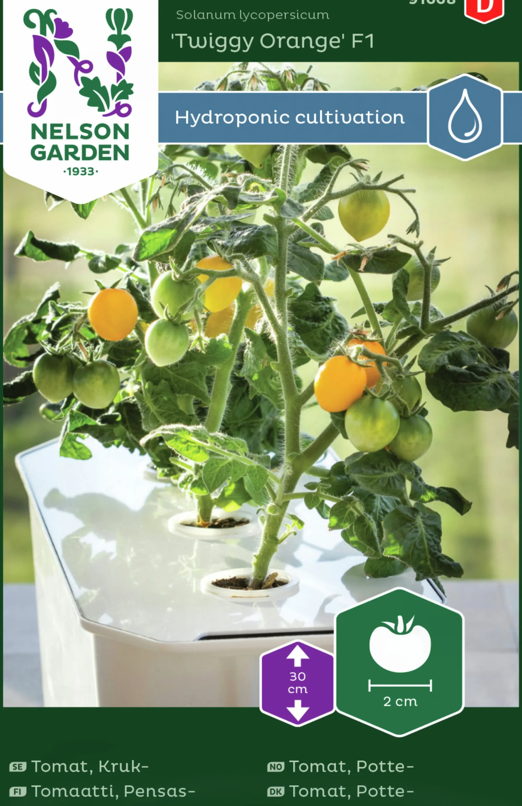 Fröer Nelson Garden Kruktomat Twiggy Orange F1 Hydroponisk