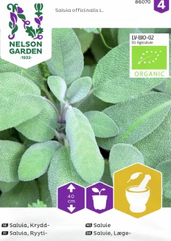 Fröer Nelson Garden Kryddsalvia