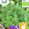 Fröer Nelson Garden Kungsmynta Oregano