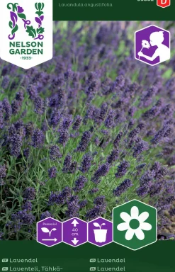 Fröer Nelson Garden Lavendel