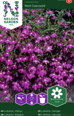 Fröer Nelson Garden Lobelia Häng- Red Cascade