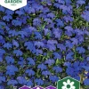 Fröer Nelson Garden Lobelia Kant- Crystal Palace