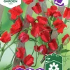Fröer Nelson Garden Luktärt Royal Scarlet Röd