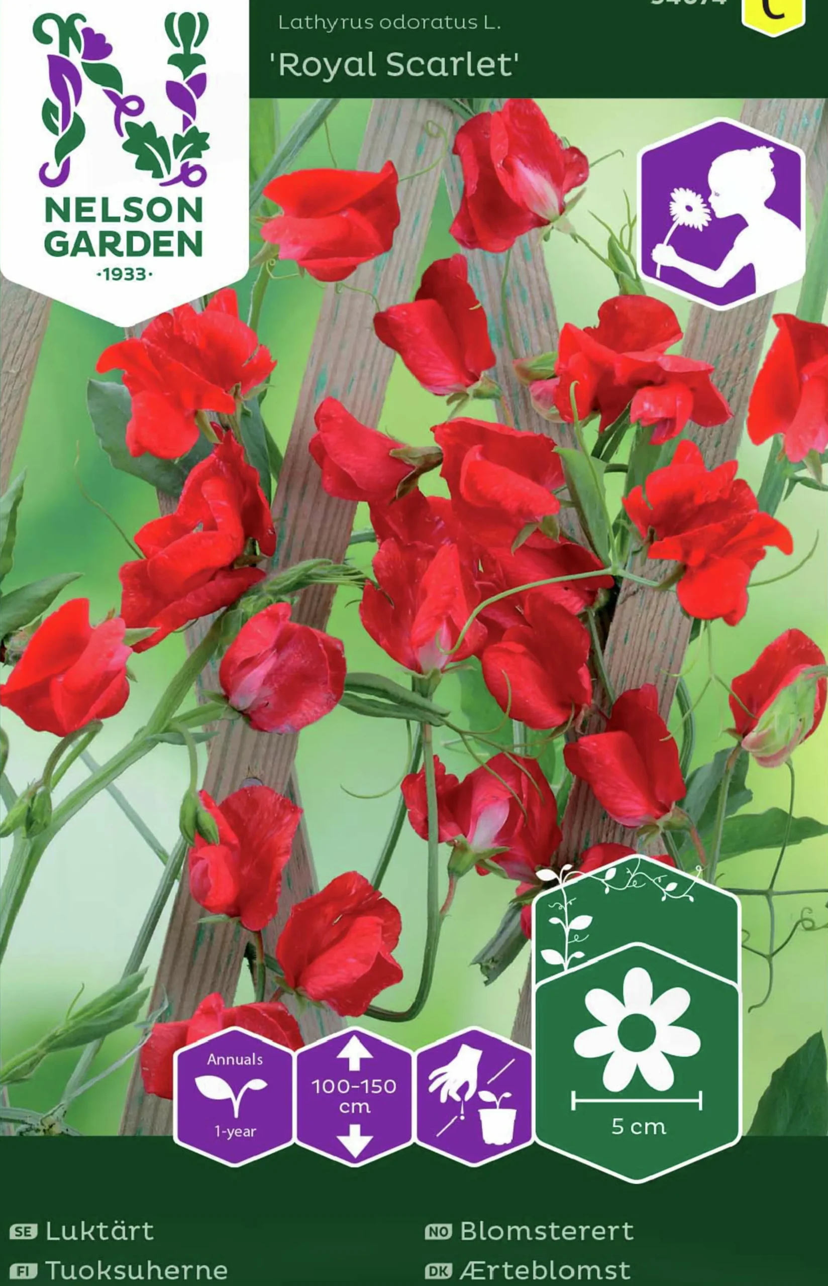 Fröer Nelson Garden Luktärt Royal Scarlet Röd