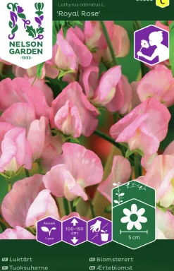 Fröer Nelson Garden Luktärt Royal Rose Rosa