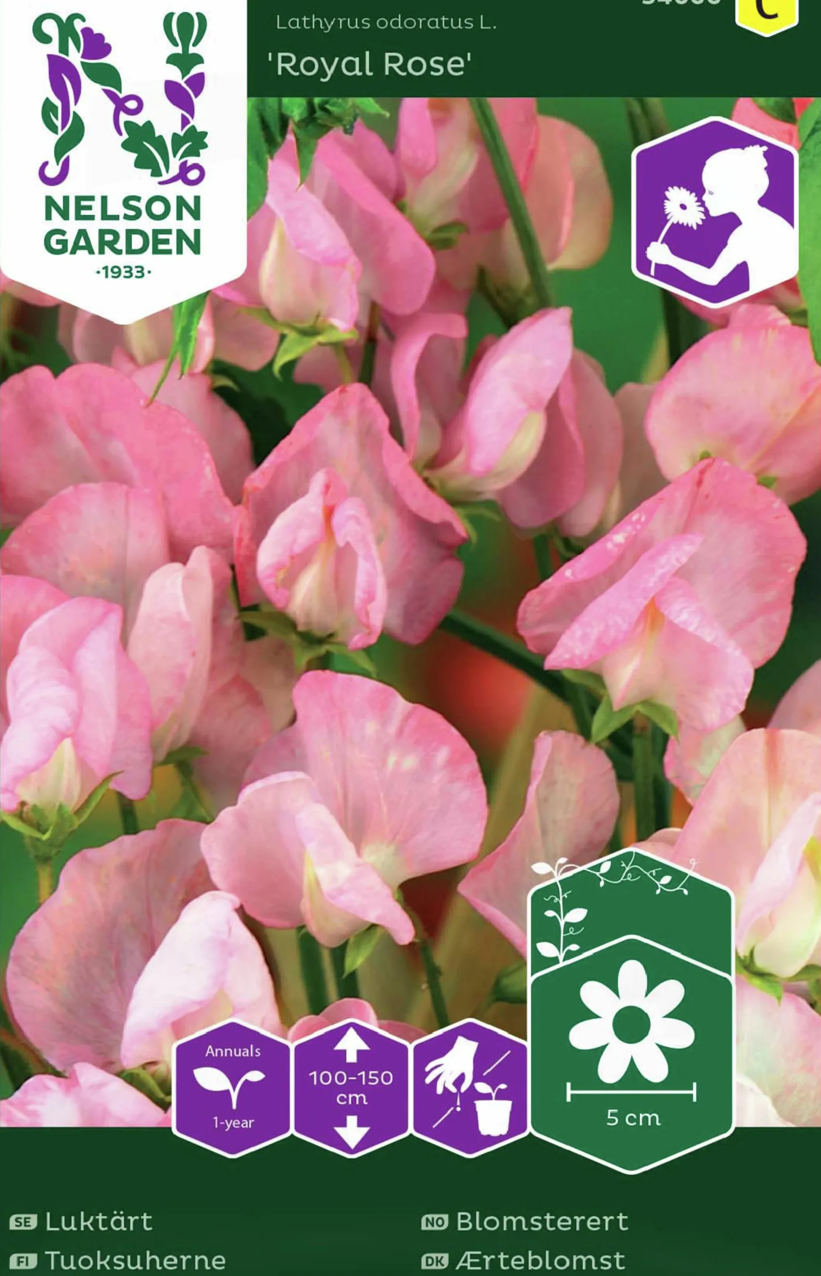 Fröer Nelson Garden Luktärt Royal Rose Rosa