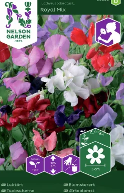 Fröer Nelson Garden Luktärt Royal Blandade färger