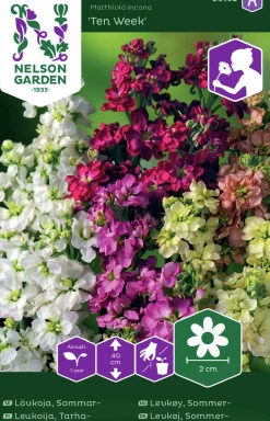 Fröer Nelson Garden Lövkoja Ten Week Mix Färg
