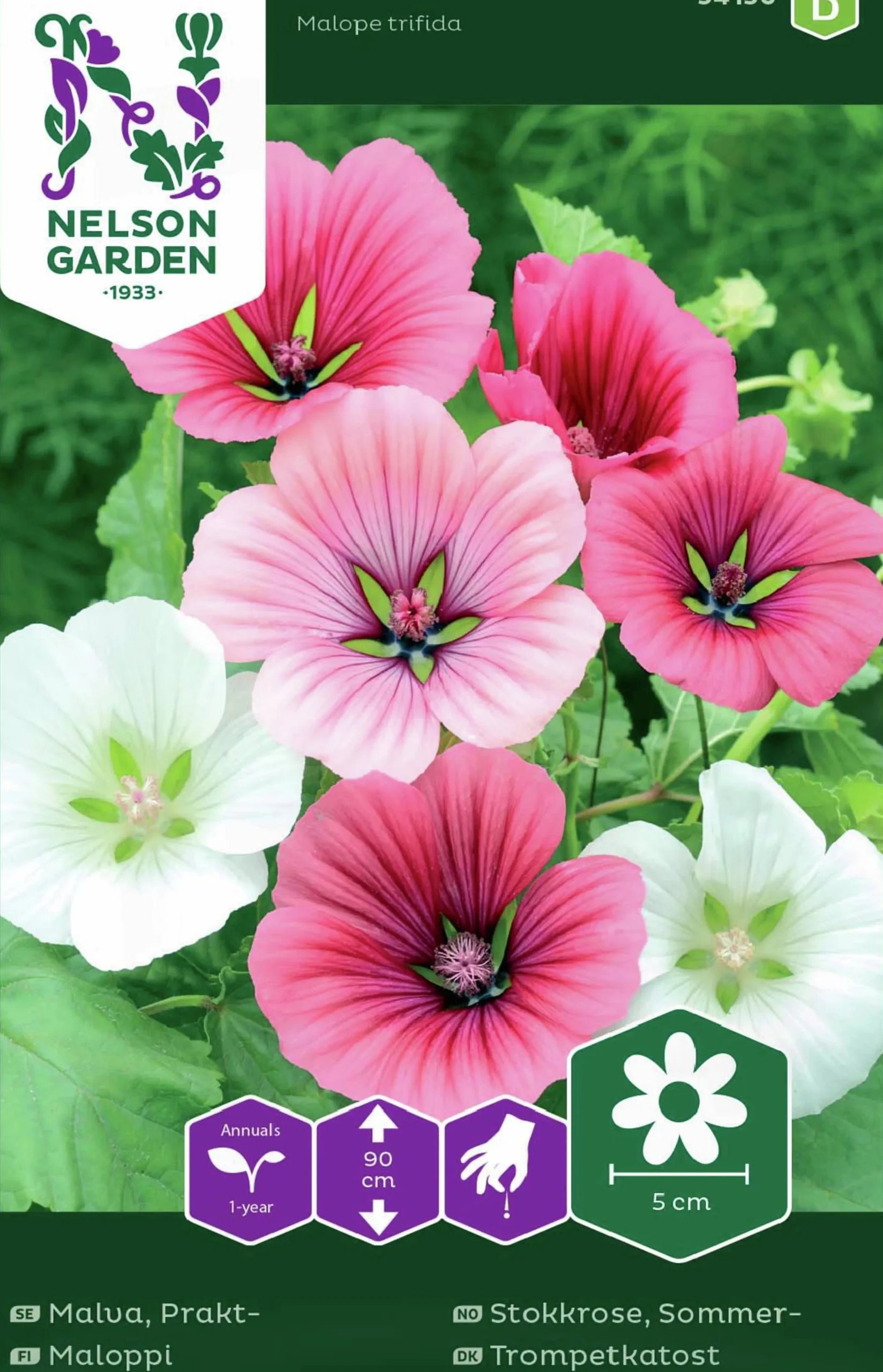 Fröer Nelson Garden Malva Prakt- Blandade Färger