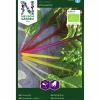 Fröer Nelson Garden Mangold Fireworks Organic
