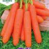 Fröer Nelson Garden Morot Sommar Nantaise 2 Big Pack