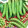Fröer Nelson Garden Märgärt Kelvedon Wonder Big Pack