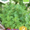 Fröer Nelson Garden Oregano Kungsmynta Organic