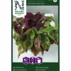 Fröer Nelson Garden Palettblad Formula Mixture