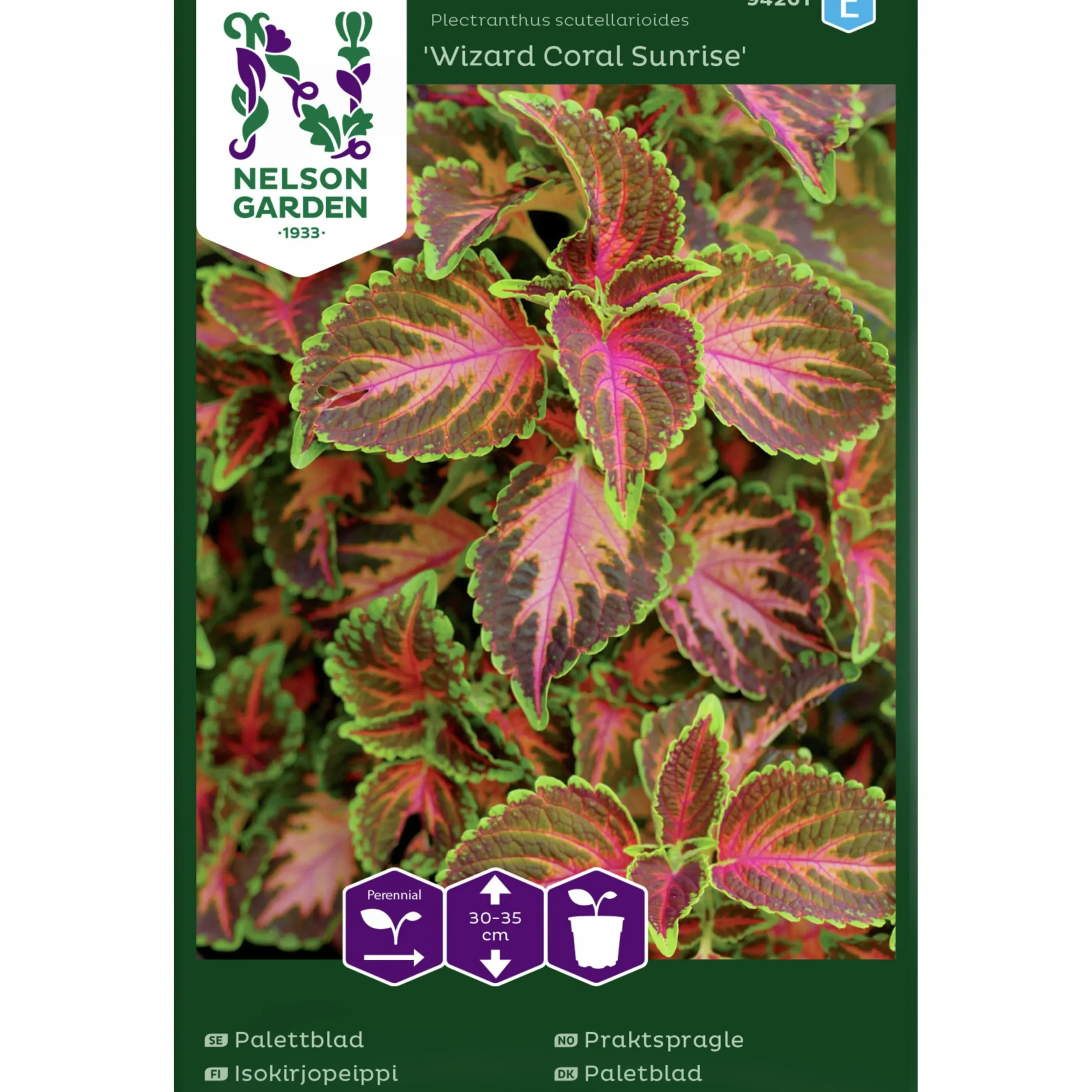 Fröer Nelson Garden Palettblad Wizard Coral Sunrise