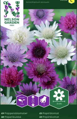 Fröer Nelson Garden Pappersblomster Blandade Färger