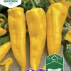 Fröer Nelson Garden Paprika Astor F1