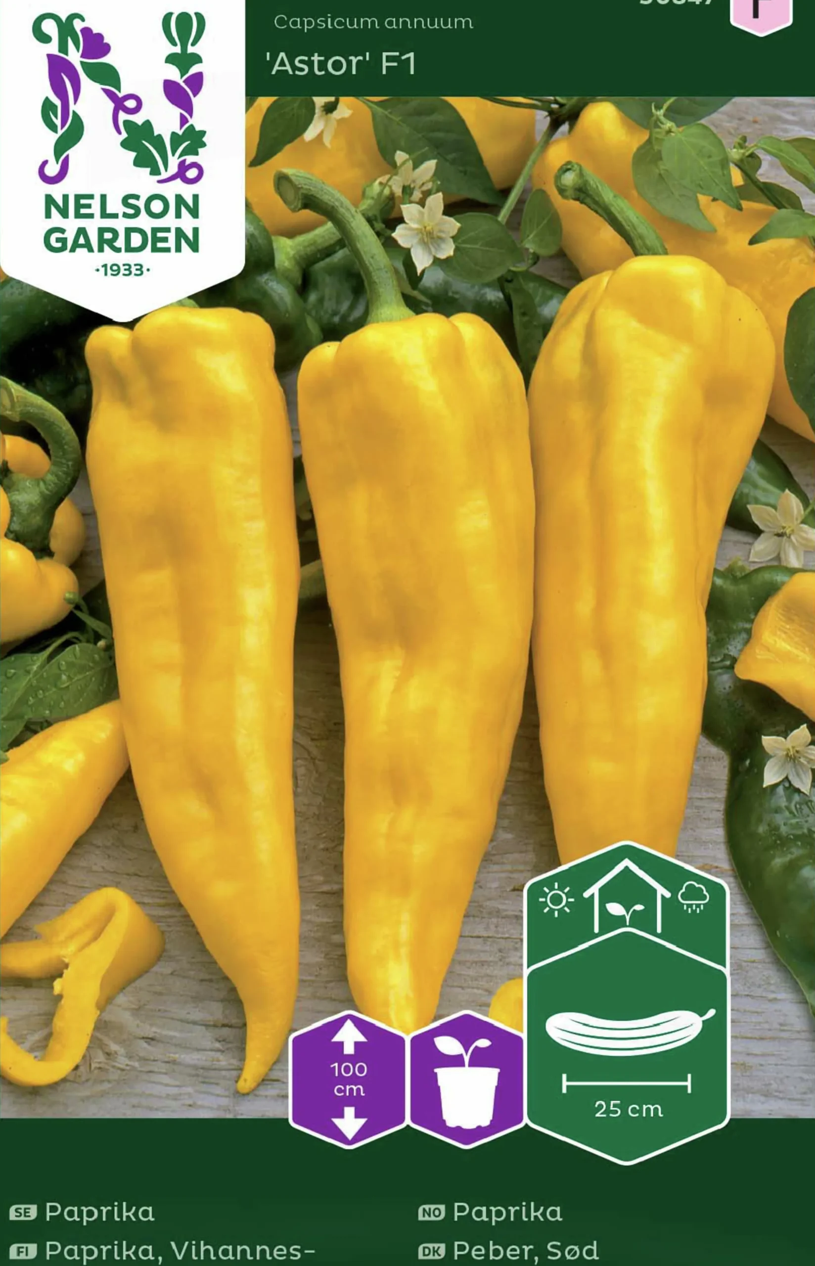 Fröer Nelson Garden Paprika Astor F1