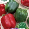Fröer Nelson Garden Paprika California Wonder