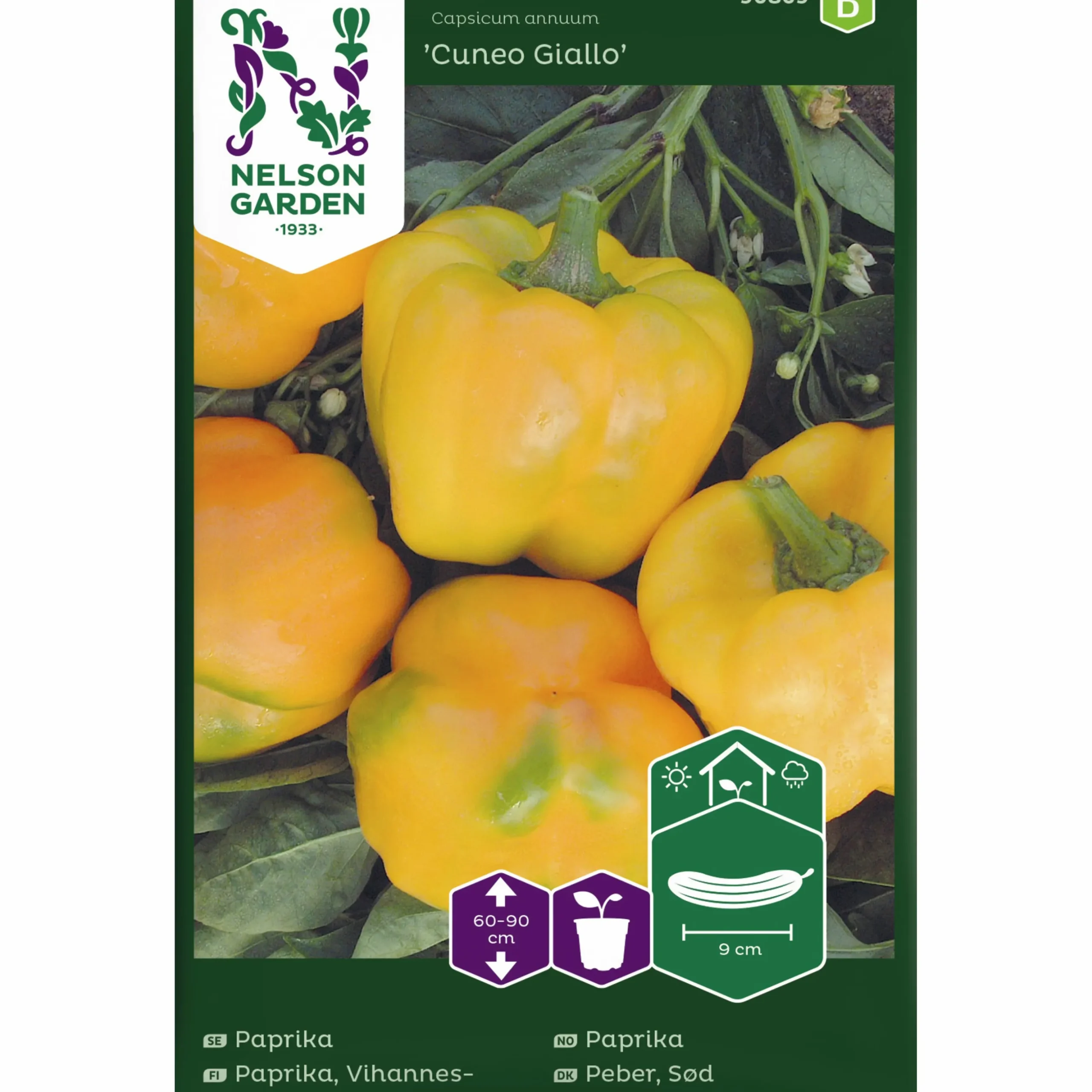 Fröer Nelson Garden Paprika Cuneo Giallo