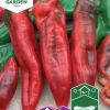 Fröer Nelson Garden Paprika Thor F1