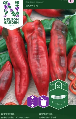 Fröer Nelson Garden Paprika Thor F1