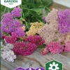 Fröer Nelson Garden Pastellröllika Summer Pastels
