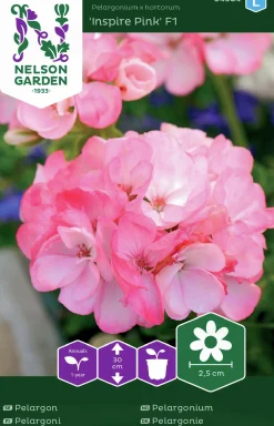 Fröer Nelson Garden Pelargon Inspire Pink F1 Rosa