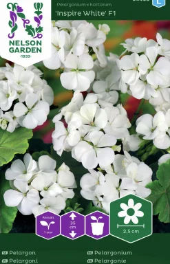 Fröer Nelson Garden Pelargon Inspire White F1 Vit