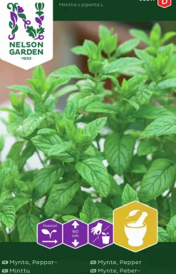 Fröer Nelson Garden Pepparmynta
