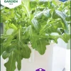 Fröer Nelson Garden Plocksallat Cerbiatta Hydroponisk odling