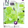 Fröer Nelson Garden Plock sallat Catalonga Organic
