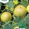 Fröer Nelson Garden Äppelgurka Lemon