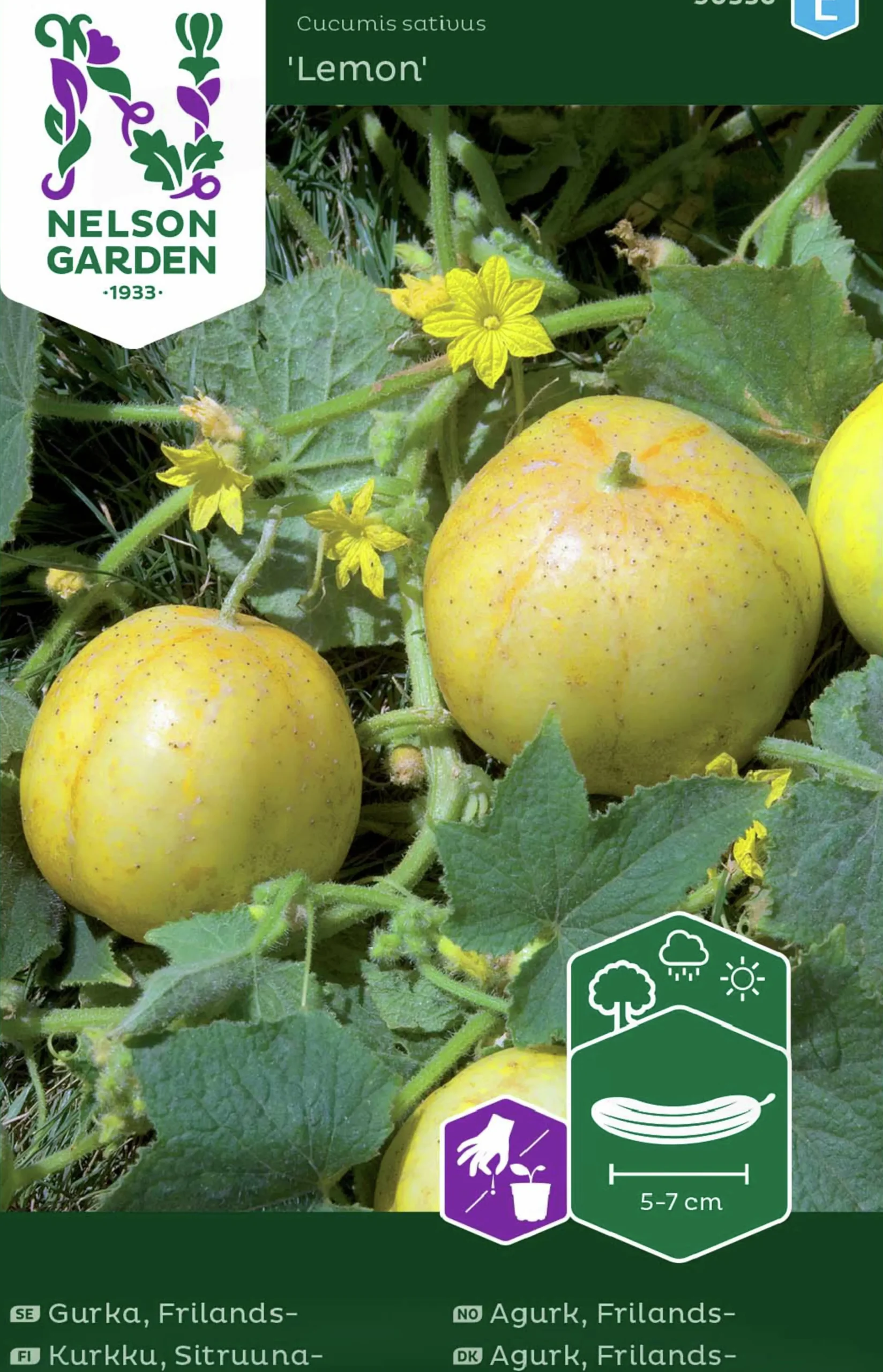 Fröer Nelson Garden Äppelgurka Lemon