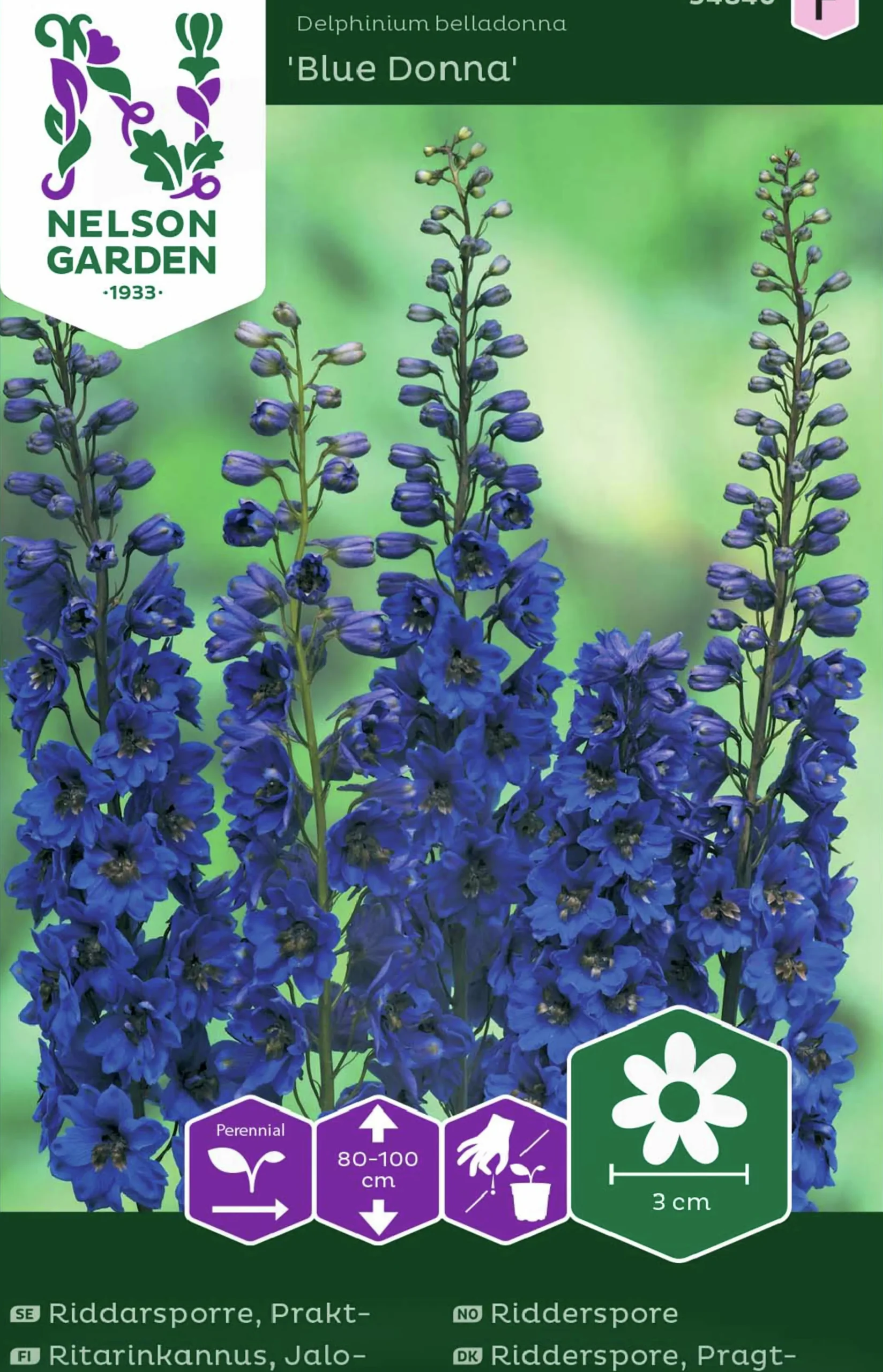 Fröer Nelson Garden Praktriddarsporre Blue Donna