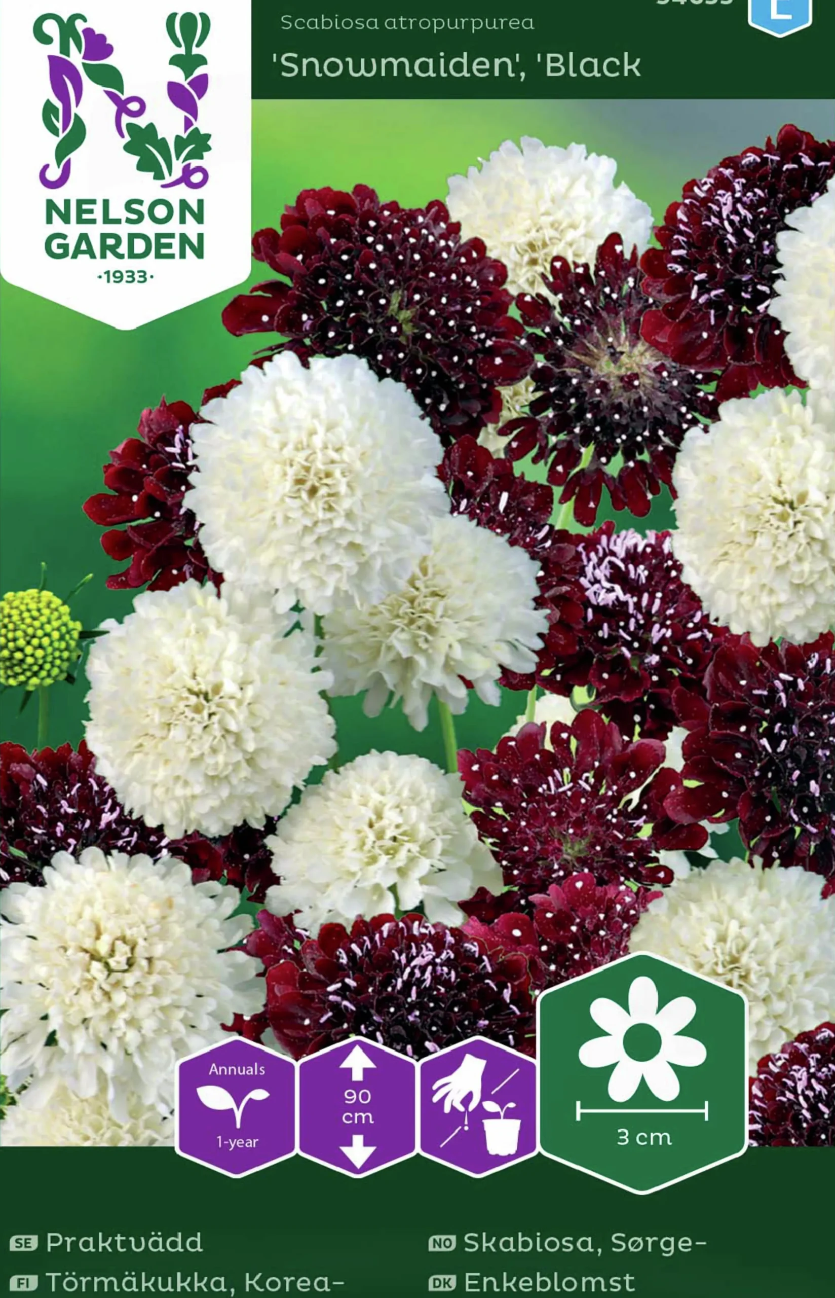 Fröer Nelson Garden Praktvädd Mix