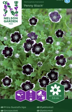 Fröer Nelson Garden Prins Gustafs Öga Penny Black