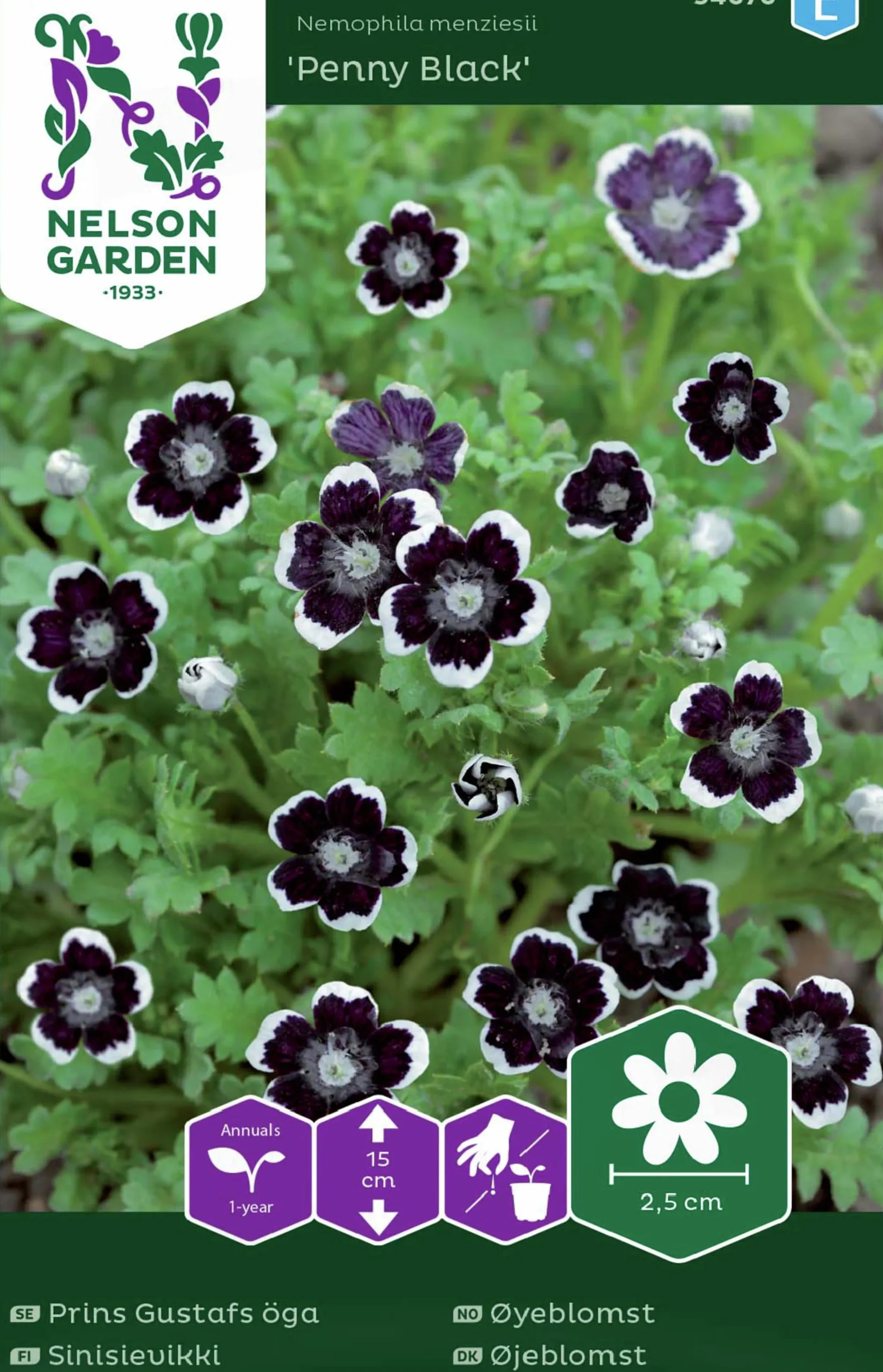 Fröer Nelson Garden Prins Gustafs Öga Penny Black