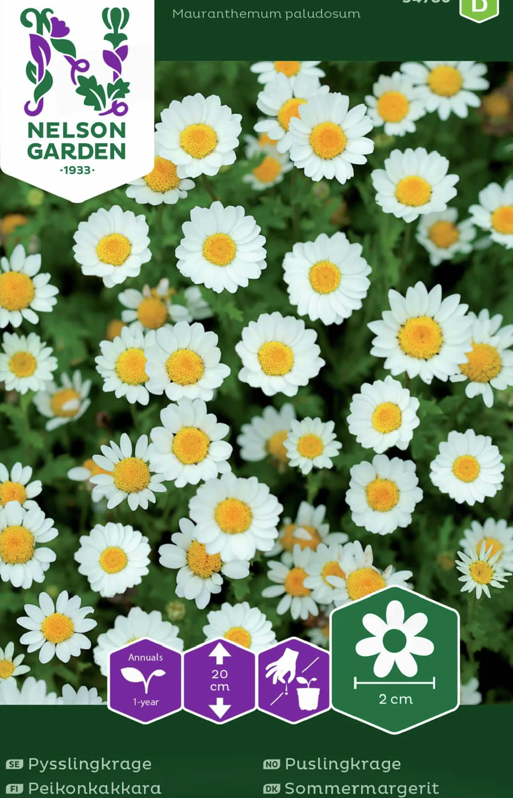 Fröer Nelson Garden Pysslingkrage Vit