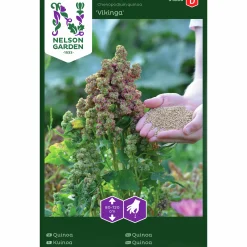 Fröer Nelson Garden Quinoa Vikinga