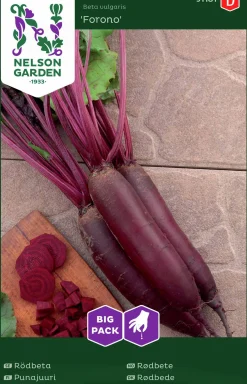 Fröer Nelson Garden Rödbeta Forono Avlång Big Pack