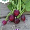 Fröer Nelson Garden Rädisa Amethyst