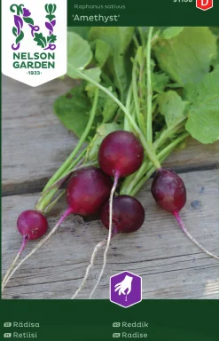 Fröer Nelson Garden Rädisa Amethyst